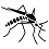 Insects